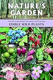 Natures Garden A Guide To Identifying Harvesting And Preparing Edible Wild Plants