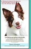 La Reincarnation Animales Et La Vie Animale Apres La Mort Reponses A Toutes Les Questions De Votre Coeur