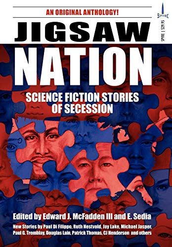 Jigsaw Nation book cover