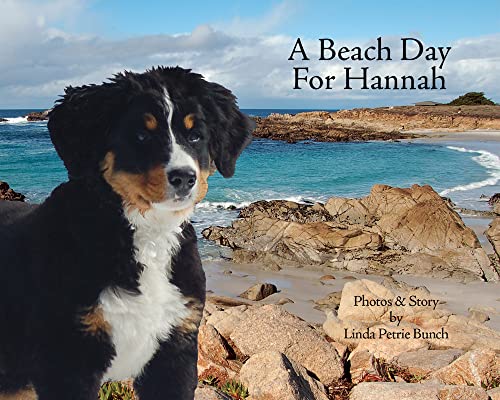 Cover of A Beach Day for Hannah