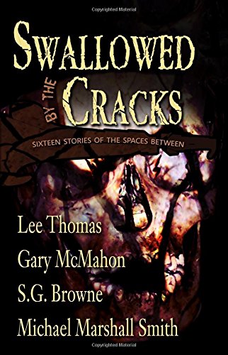 Swallowed by the Cracks book cover