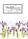 Wildflowers of Newfoundland and Labrador: Field Guide