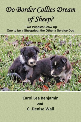 Do Border Collies Dream of Sheep? book cover