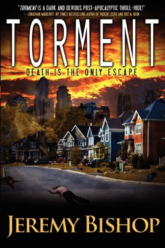 Torment book cover