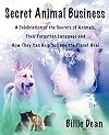 Secret Animal Business