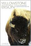 Yellowstone Bison: The Science and Management of a Migratory Wildlife Population