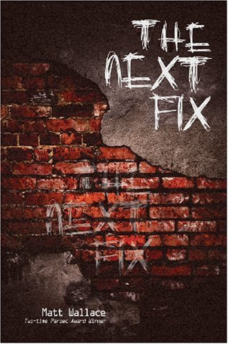 The Next Fix book cover