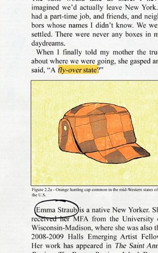 Fly Over State book cover