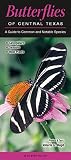 Butterflies Of Central Texas A Guide To Common Notable Species