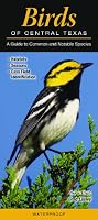 Birds of Central Texas: A Guide to Common & Notable Species (Quick Reference Guides)