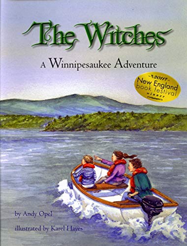 Cover of The witches