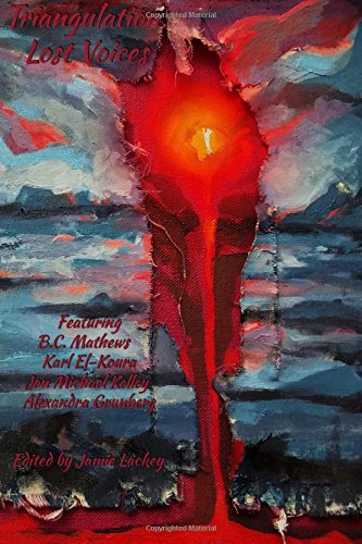 Triangulation: Lost Voices book cover