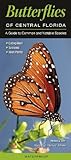 Butterflies Of Central Florida A Guide To Common Notable Species