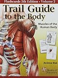 Trail Guide To The Body Flashcards Muscles Of The Human Body