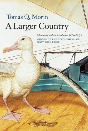 A Larger Country book cover