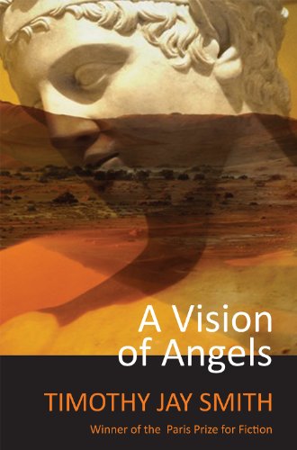 A Vision of Angels book cover