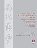 Illustrations Of The Complete Acupuncture System The Sinew Luo Divergent Eight Extraordinary Primary Channels And All Their Branches