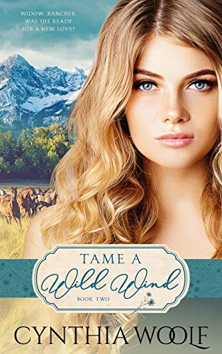 Tame a Wild Wind book cover