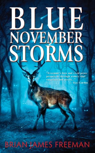 Blue November Storms book cover