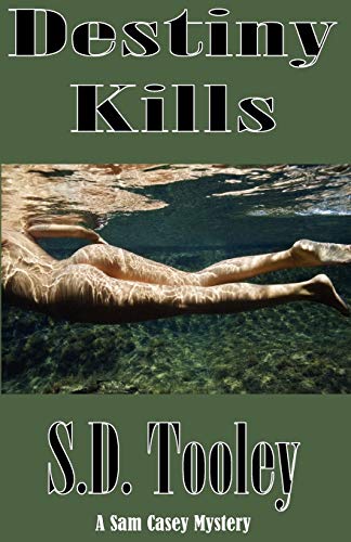 Destiny Kills book cover