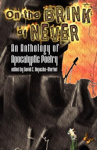 On the Brink of Never book cover