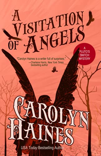 A Visitation of Angels cover