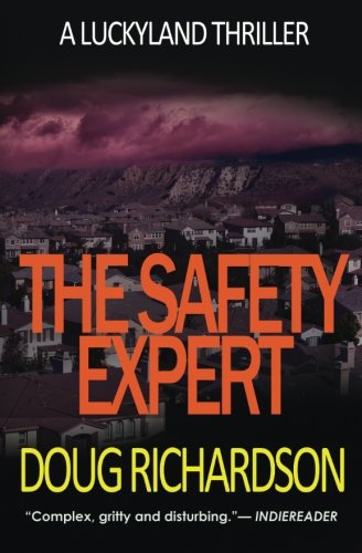 The Safety Expert book cover