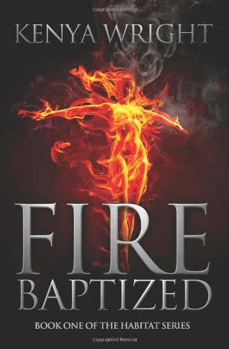 Fire Baptized book cover