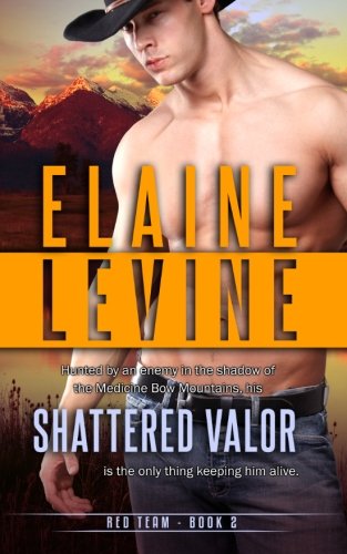 Shattered Valor book cover