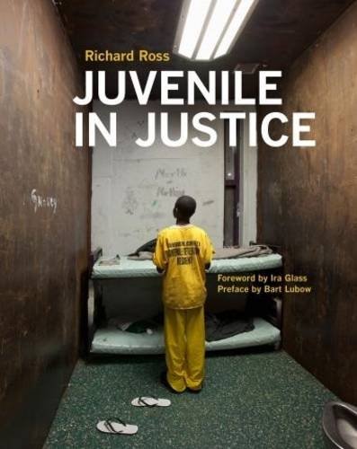 Cover of Juvenile in Justice