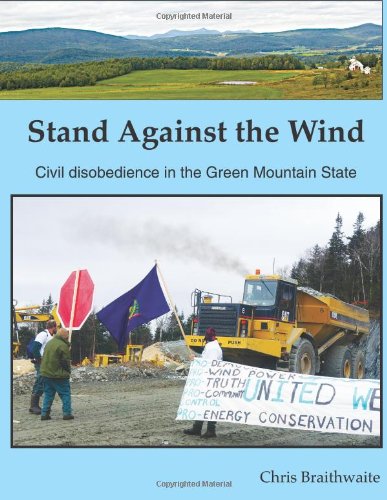 Cover of Stand Against the Wind