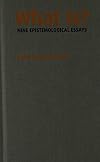 What Is?: Nine Epistemological Essays