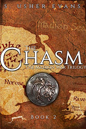 The Chasm book cover