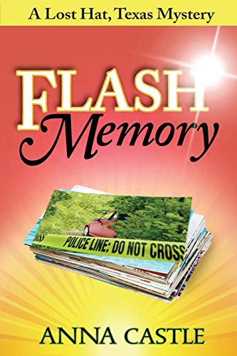 Flash Memory book cover
