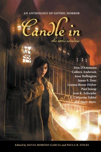 Candle in the Attic Window book cover
