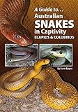 Australian Snakes In Captivity