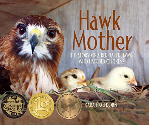 Cover of Hawk Mother