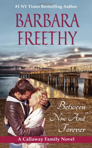 Between Now and Forever book cover