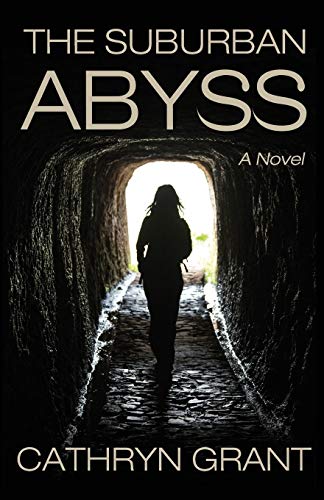 The Suburban Abyss book cover