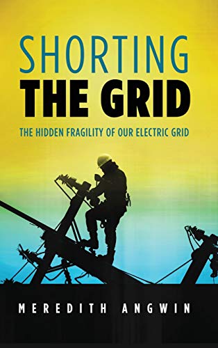 Shorting the Grid: The Hidden Fragility of Our Electric Grid cover