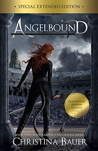 Angelbound book cover