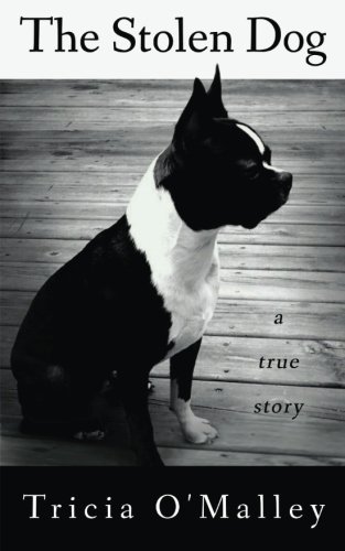 The Stolen Dog book cover