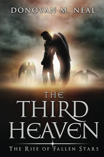 The Rise of Fallen Stars book cover