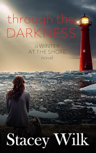Through the Darkness book cover