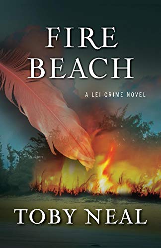 Fire Beach book cover