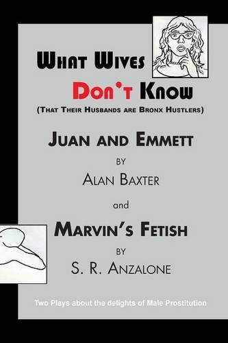 What Wives Don't Know book cover