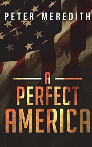A Perfect America book cover