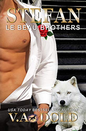 Stefan book cover