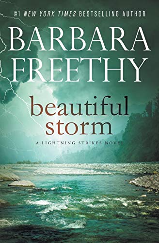 Beautiful Storm book cover