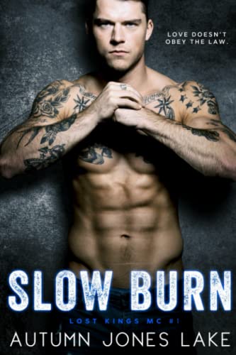 Slow Burn book cover